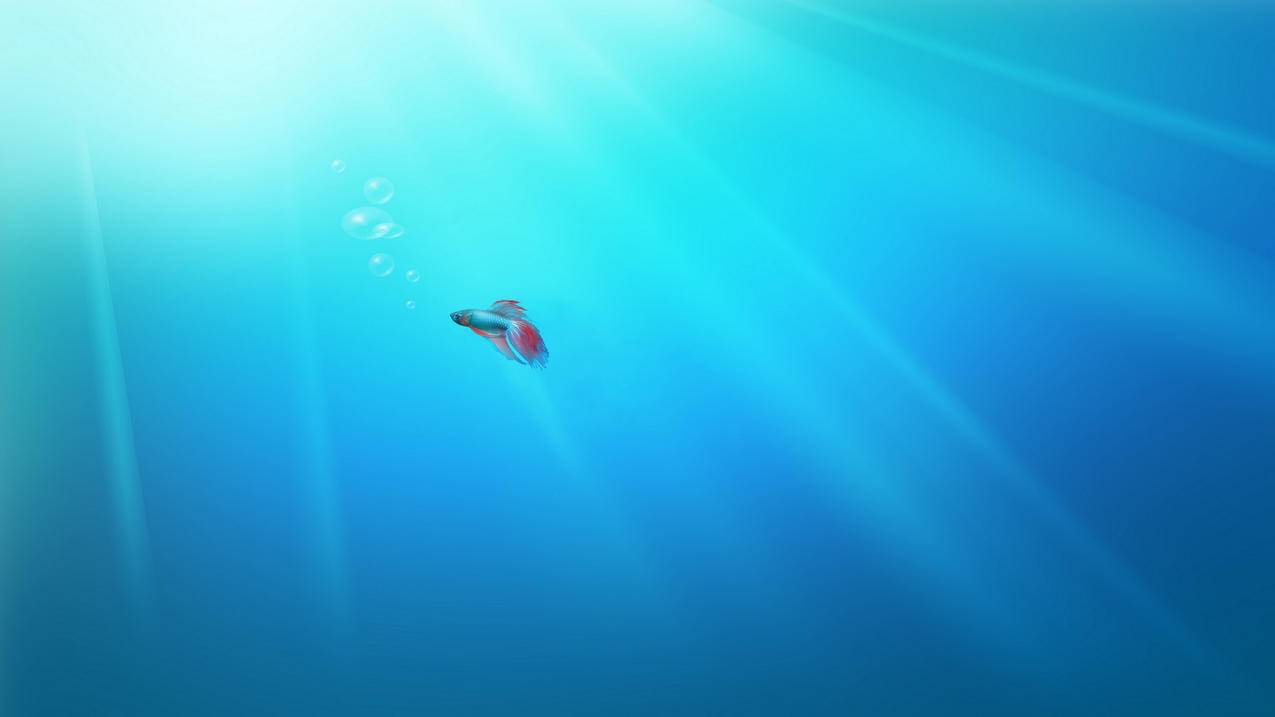 hero-image